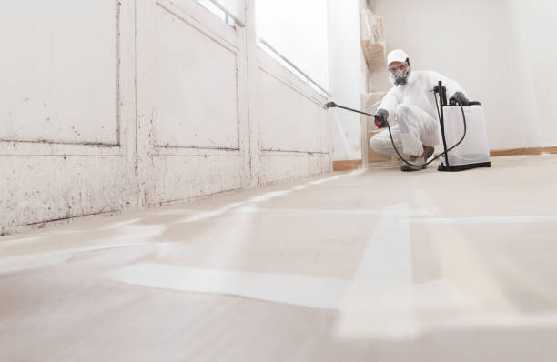 Black mold remediation team in Mercer Island
